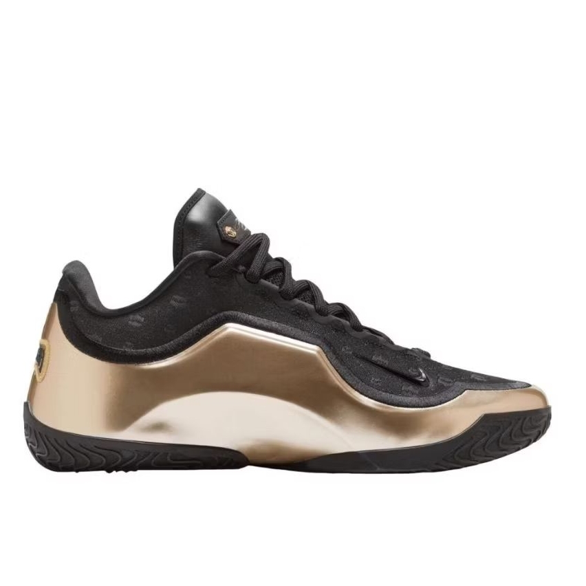 Sepatu Nike Lebron XXIII Lux EP Multi Men Original