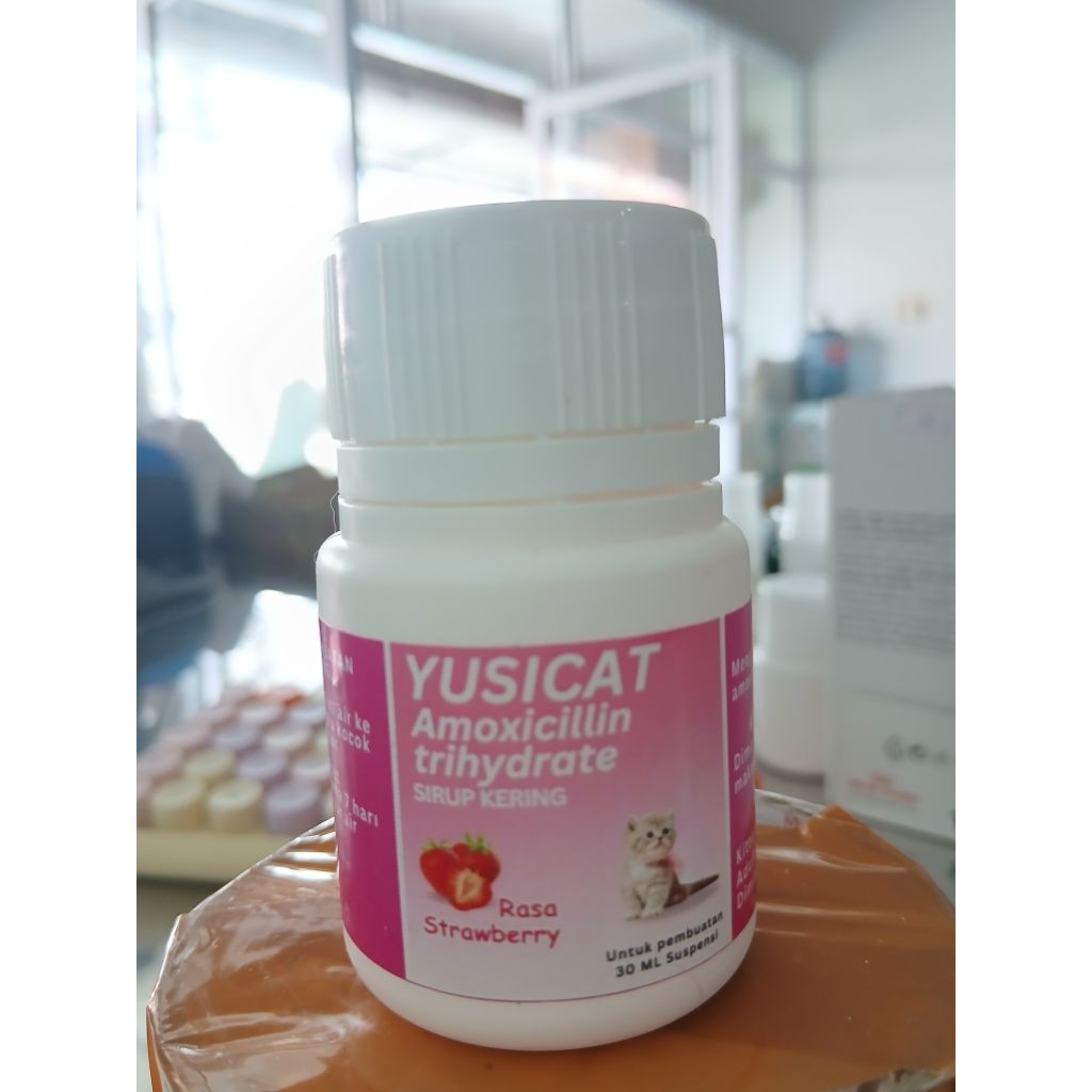 SIRUP ANTIBIOTIK KUCING