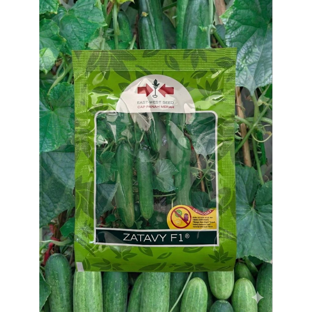 Benih Timun Zatavy f1