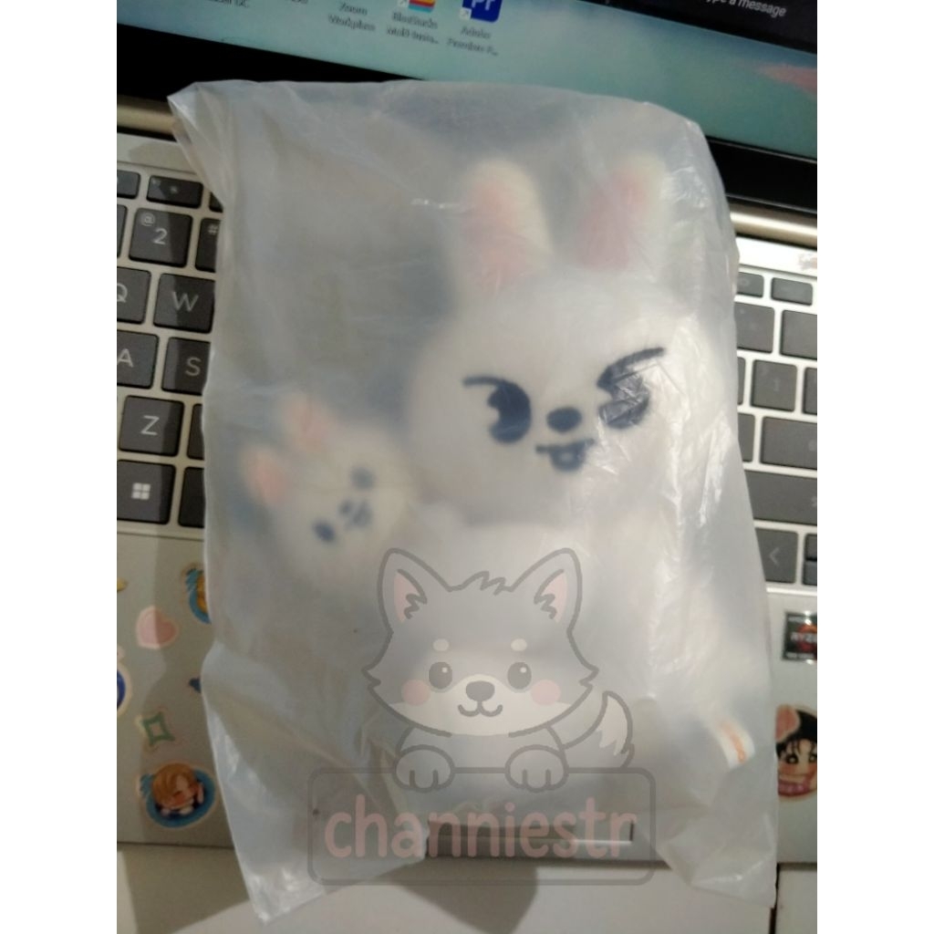 SKZ stray kids skzoo leebit lee know plush doll magnet set dominate celebrate sharing petit mini big