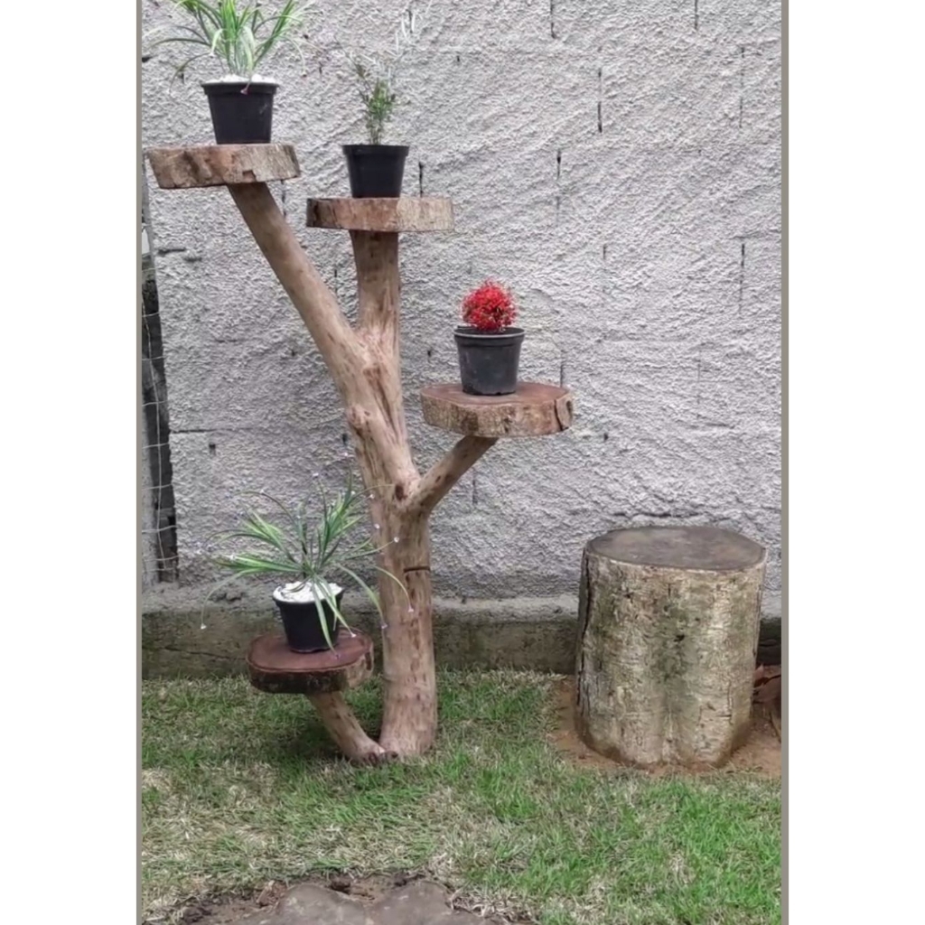 Batang Pohon Bercabang / Dahan Kayu Hias pot bunga / Tatakan Pot Bunga / Batang Pohon Besar