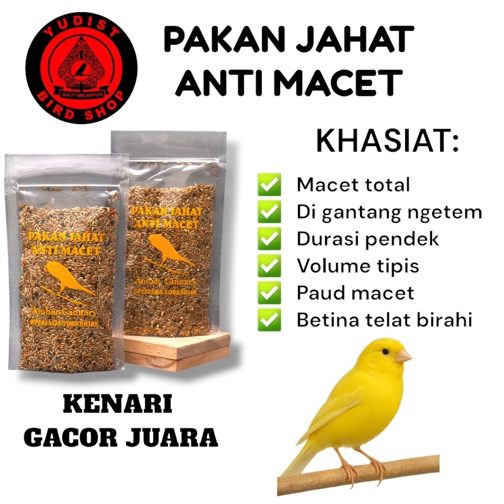 PAKAN JAHAT ANTI MACET BIKIN KENARI TAMPIL MAKSIMAL GACOR