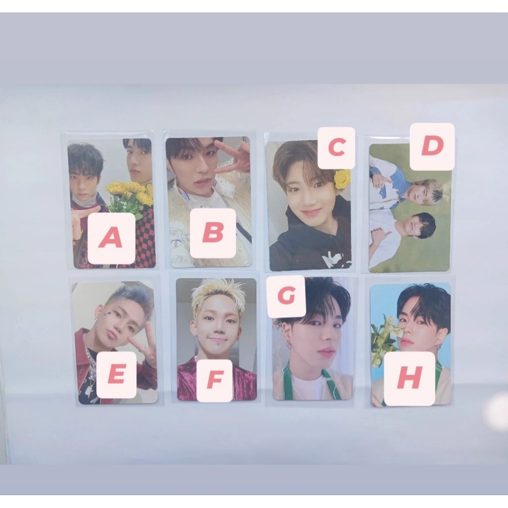 treasure photocard pc jikjin hello asahi jaehyuk junkyu haruto hajeongwoo harusahi bunga blooming tr