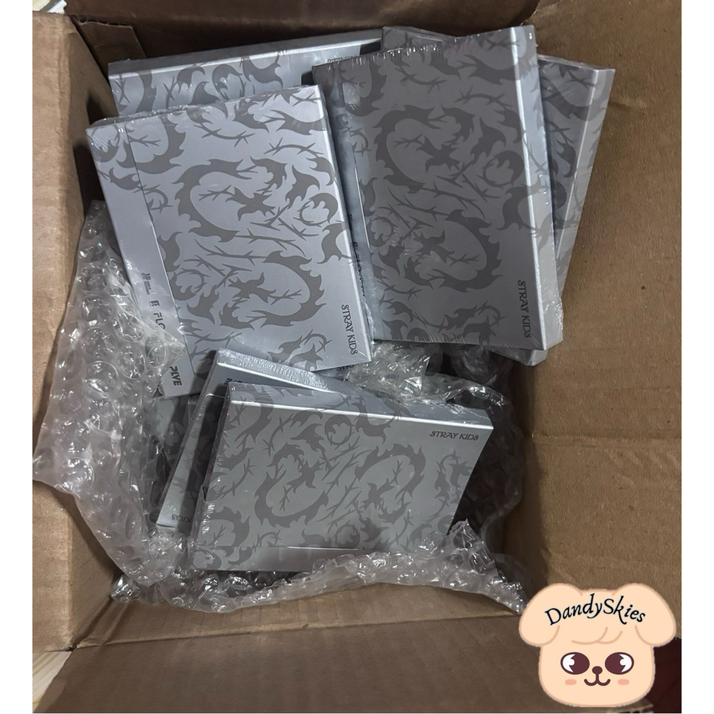 Stray kids Doit album sealed