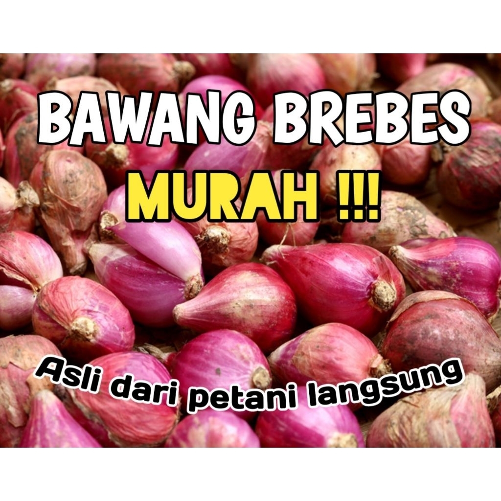 BAWANG MERAH BREBES ASLI PETANI