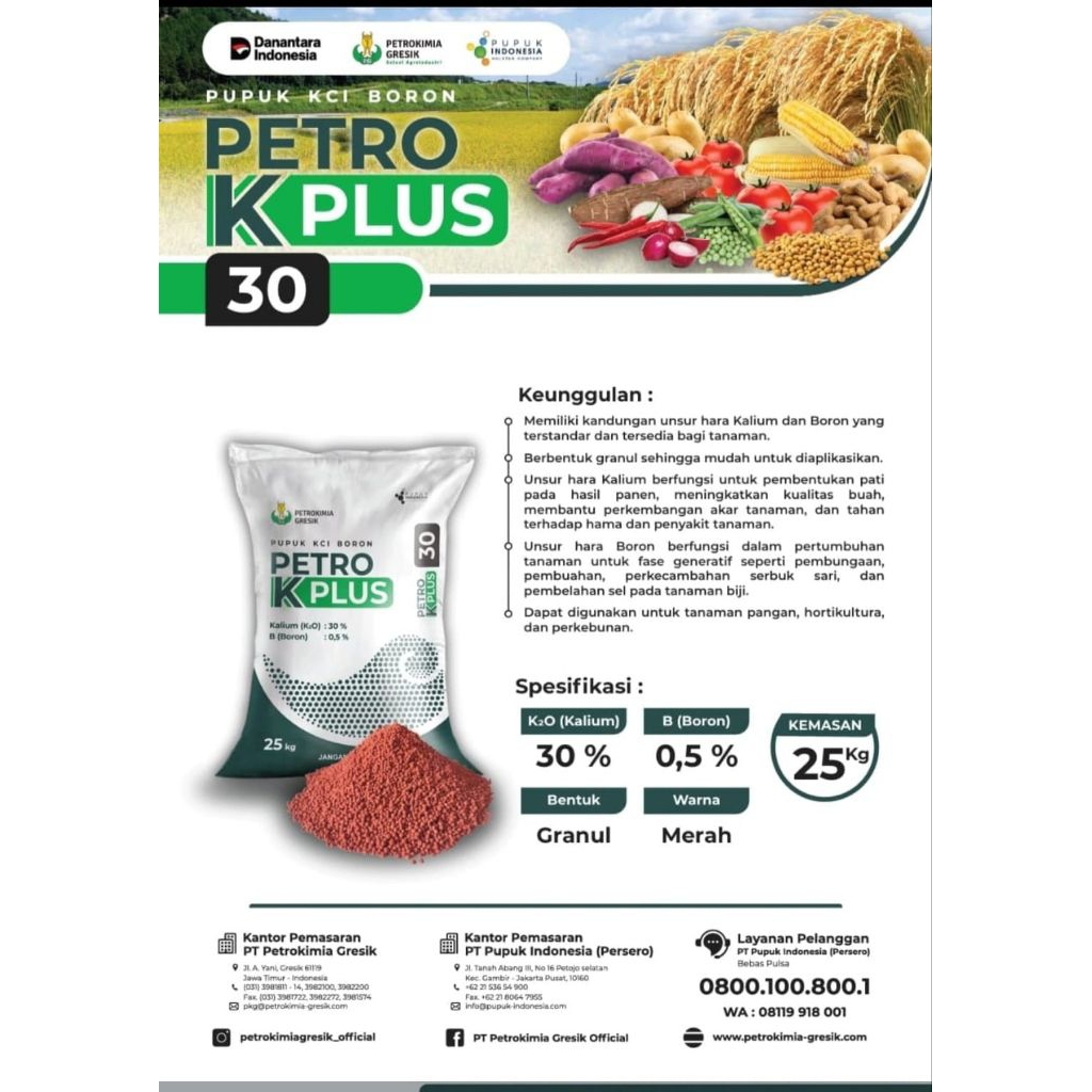 Pupuk KCL PETRO K PLUS 25kg