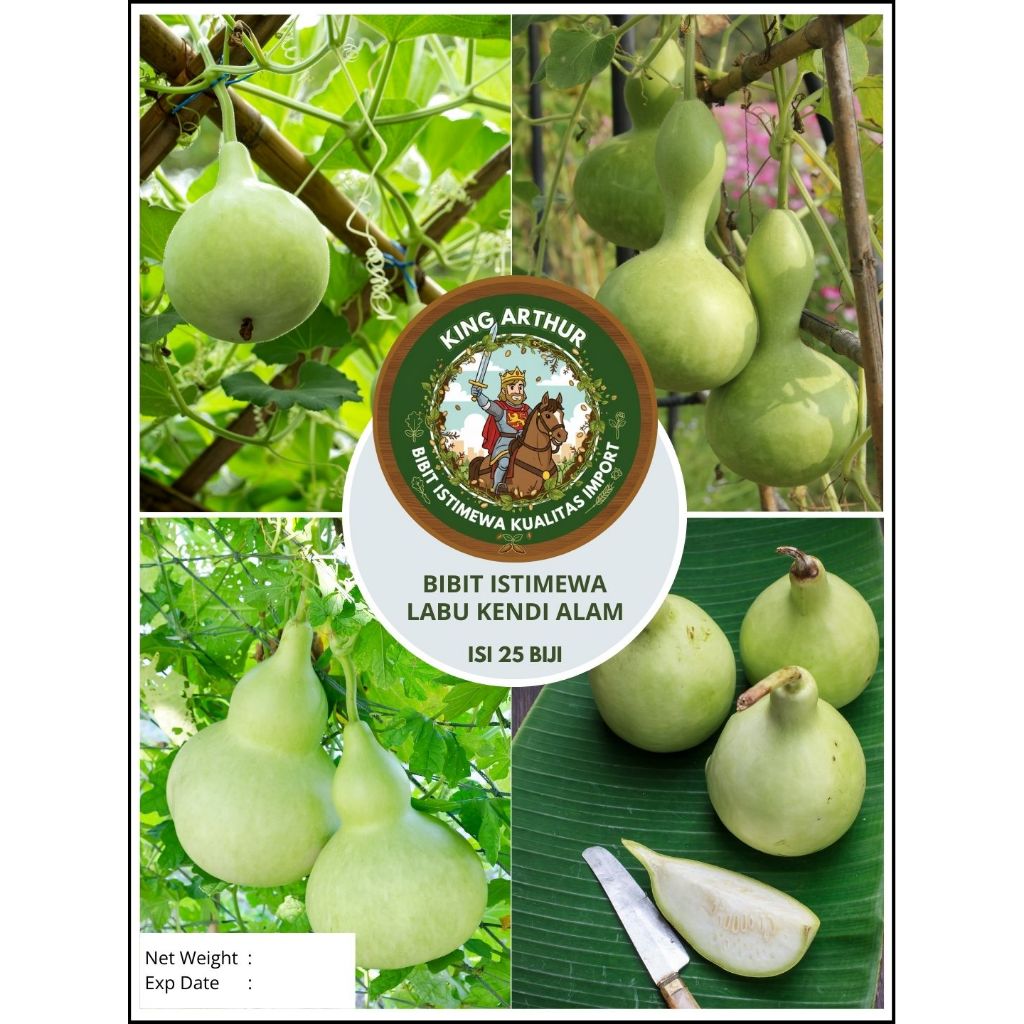 Bibit Istimewa Labu Kendi Alam | Biji Benih Labu Kendi Labu Botol