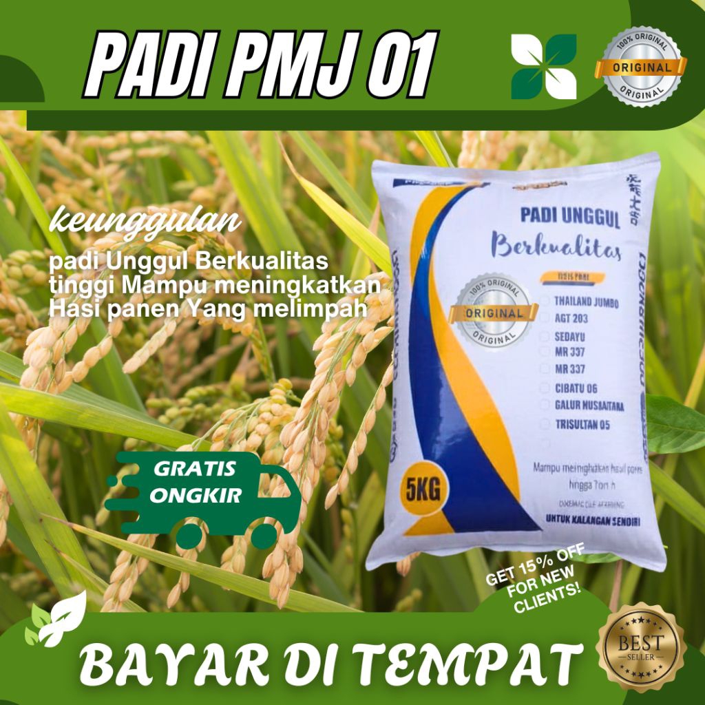 PADI PMJ 01 PREMIUM 1 KG - 5 kg Benih padi Unggul Pmj  01
