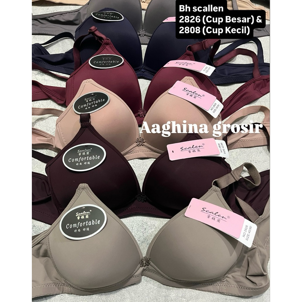 BRA SCALLEN CUP KECIL DAN CUP BESAR - BH SCALLEN BUSA TIPIS TANPA KAWAT KAIT 2