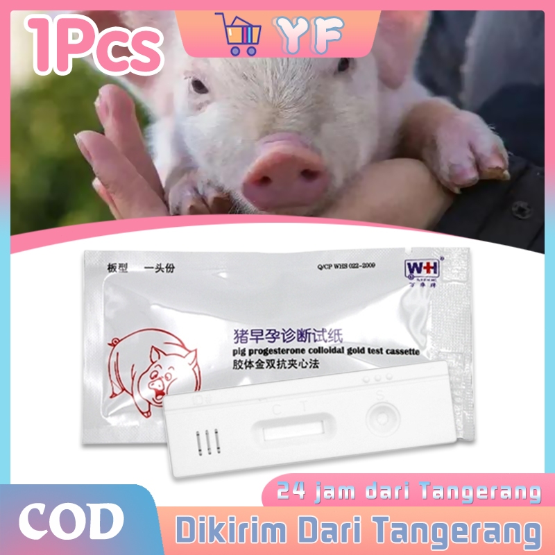 Tes Kehamilan Babi Khusus Peternakan Babi Taburan Progesteron Koloid Kaset Tes Babi