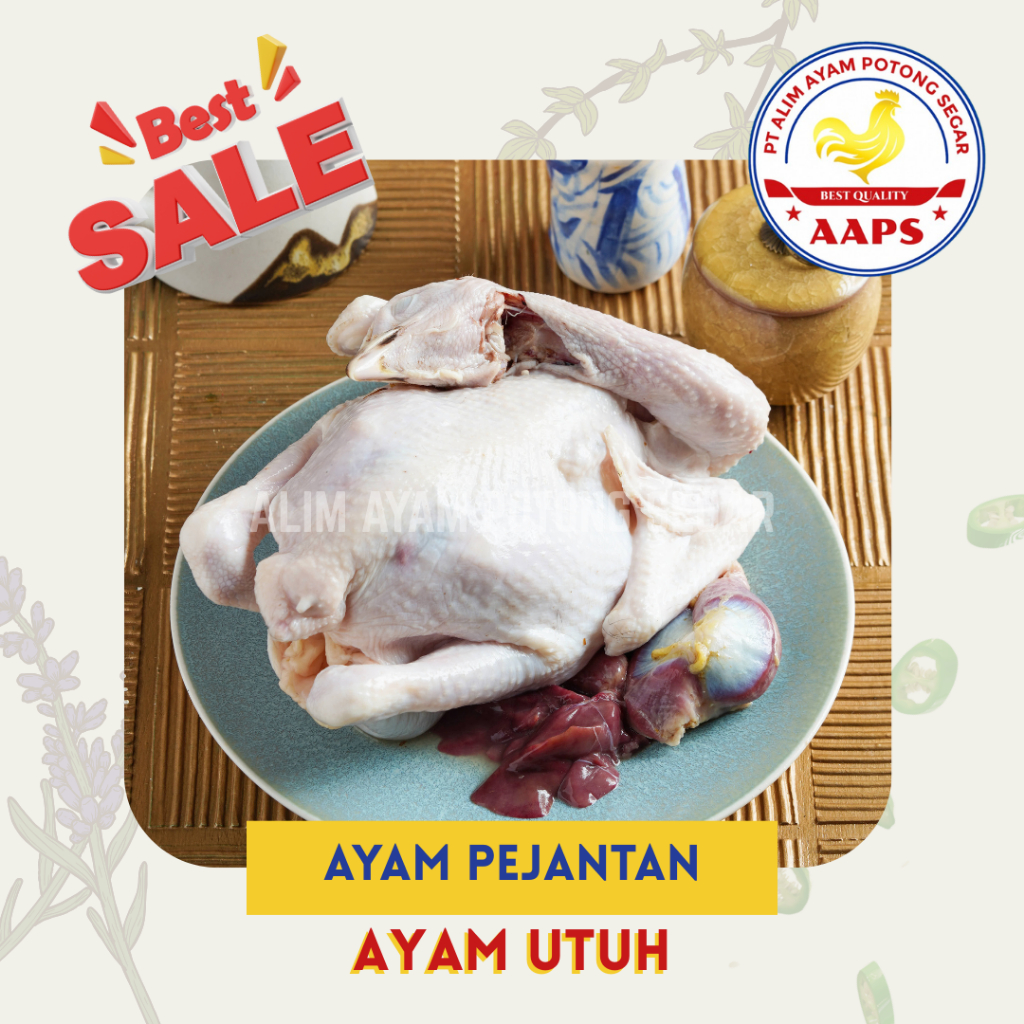 Ayam Pejantan Asli Fresh Bersih Ayam ± 0,7 Kg dari Hidup 1 Kg