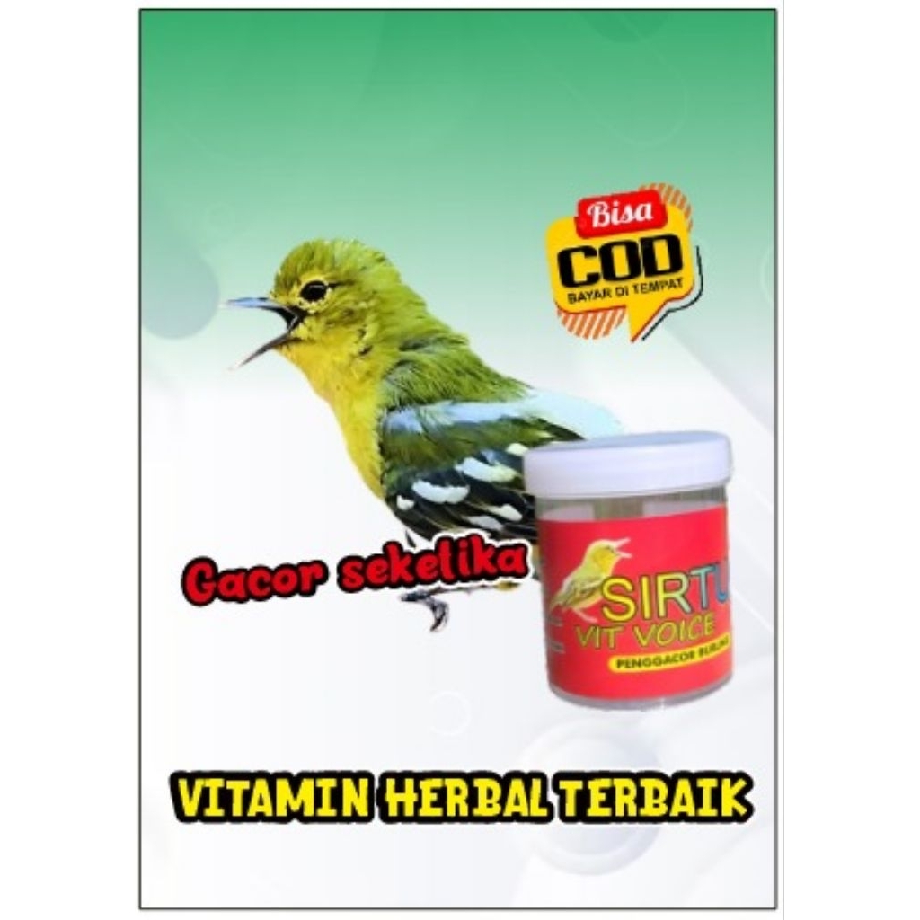 sirtu vit voice, Dijamin burung jadi tambah gacor  penggacor burung sirtu macet bunyi atau tangkapan