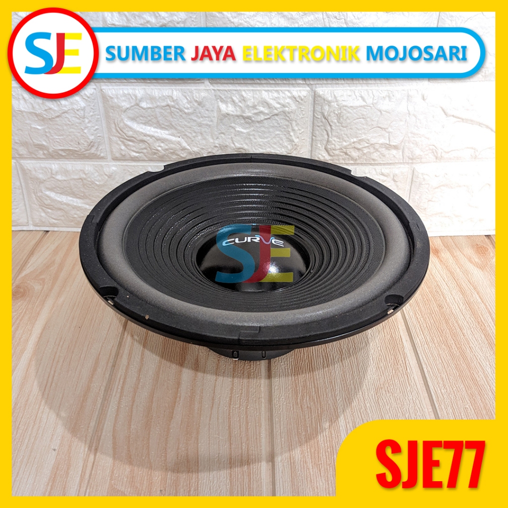 Speaker Curve 10" 25H100SUWPP (PLS) / Speaker Curve 10 inch Wofer