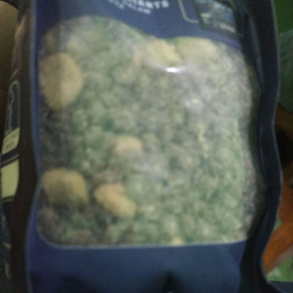 makanan kucing kering