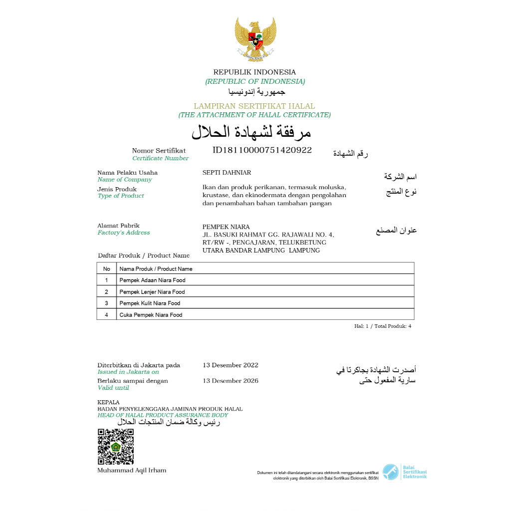 Pempek palembang isi 50