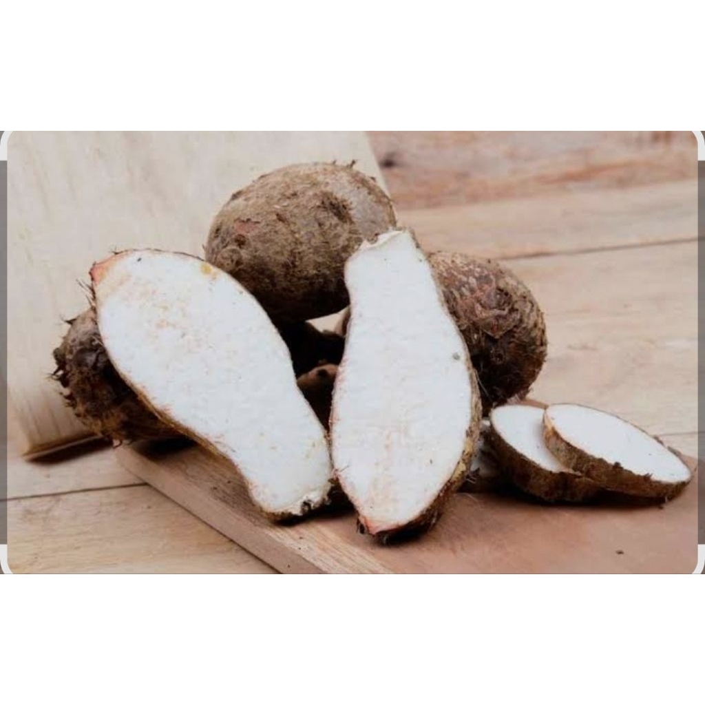 talas/ubi kimpul perkg