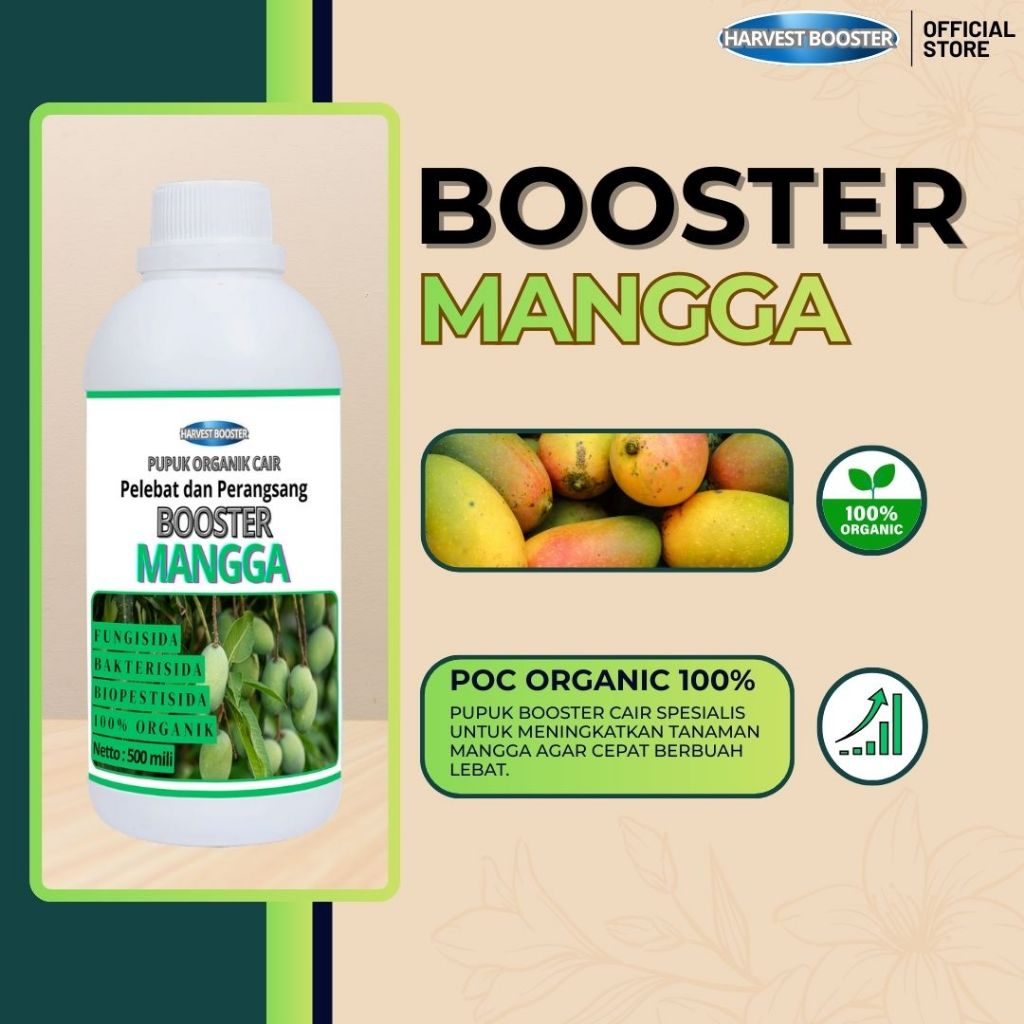 BOOSTER PELEBAT BUAH MANGGA | Pupuk booster mangga | pupuk pelebat buah mangga anti rontok | BOOSTER