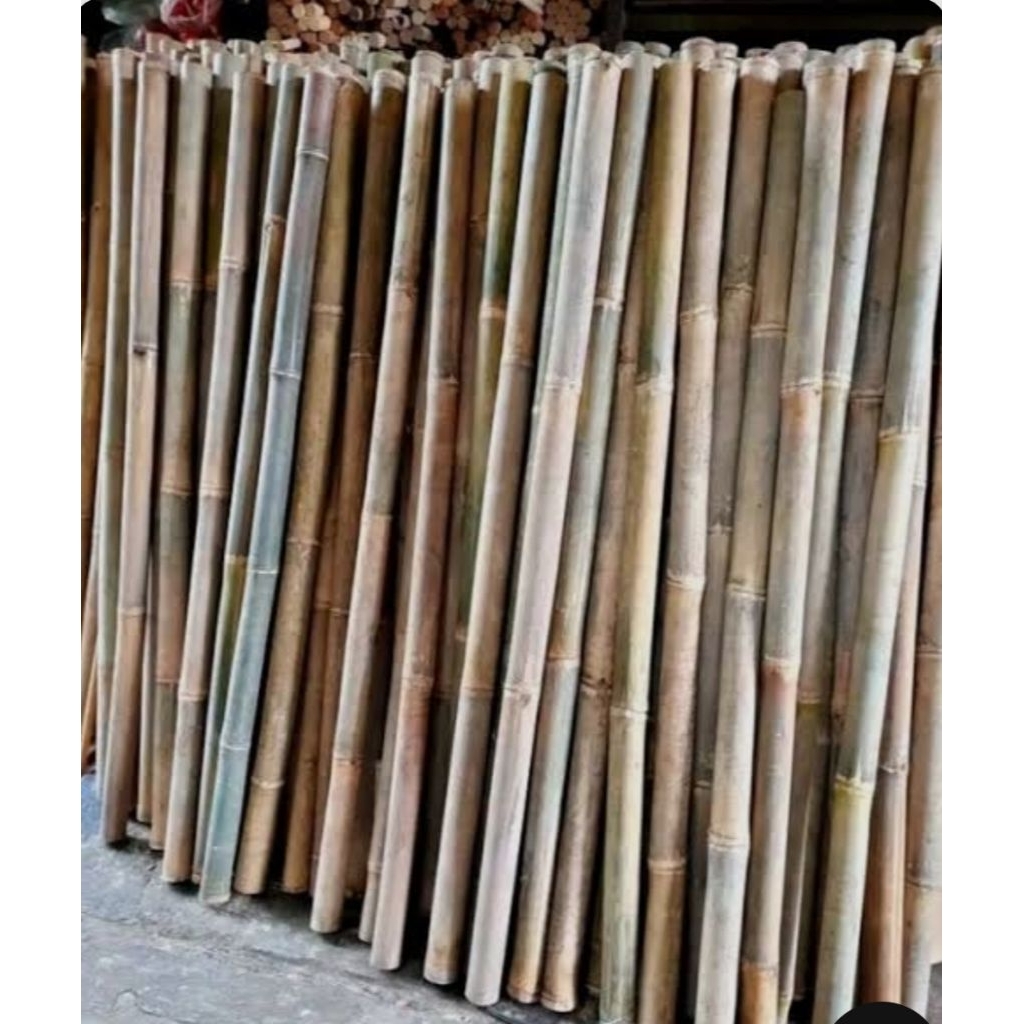 Tongkat Bambu Pramuka 160cm