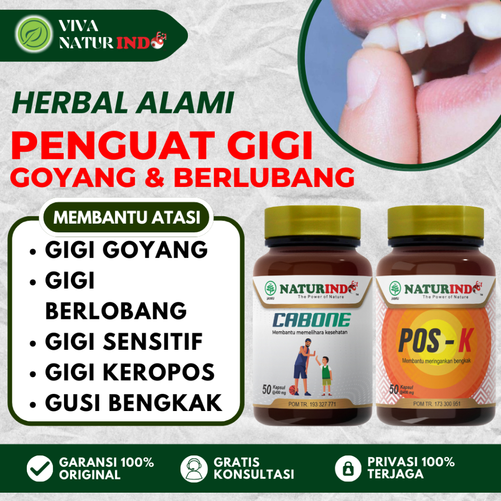 Obat Herbal Penguat Gigi Goyang Herbal Ampuh Gigi Goya Naturindo
