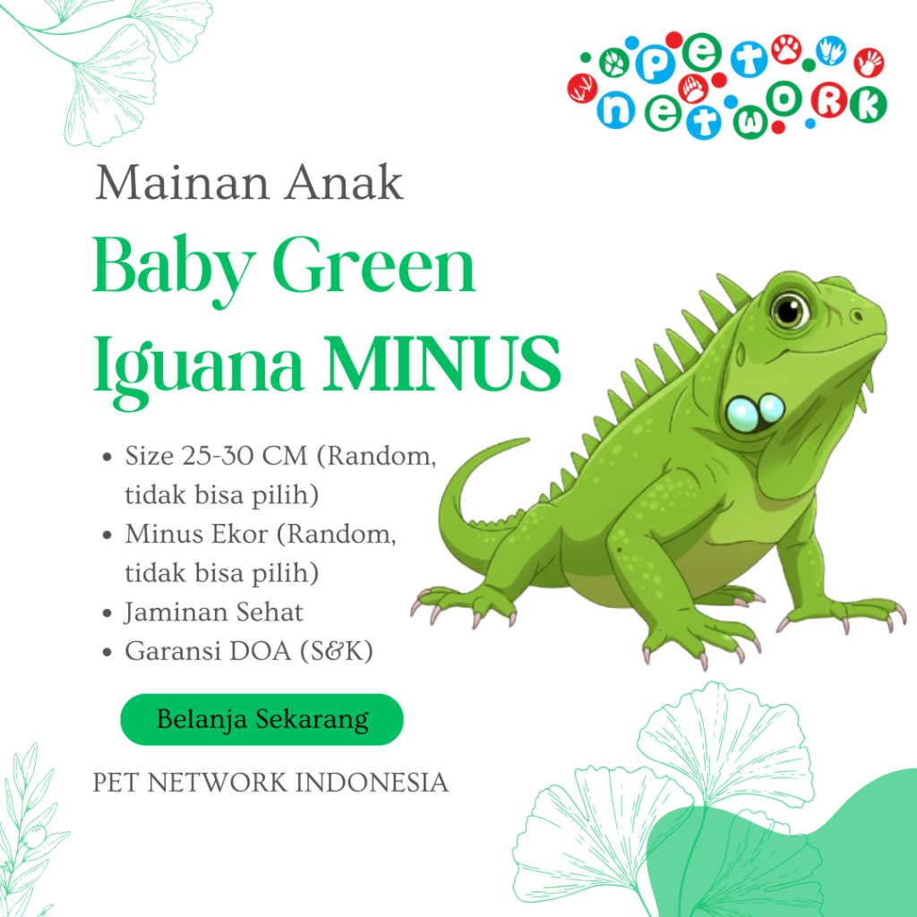 Mainan Anak Baby Green Iguana MINUS Premium Quality