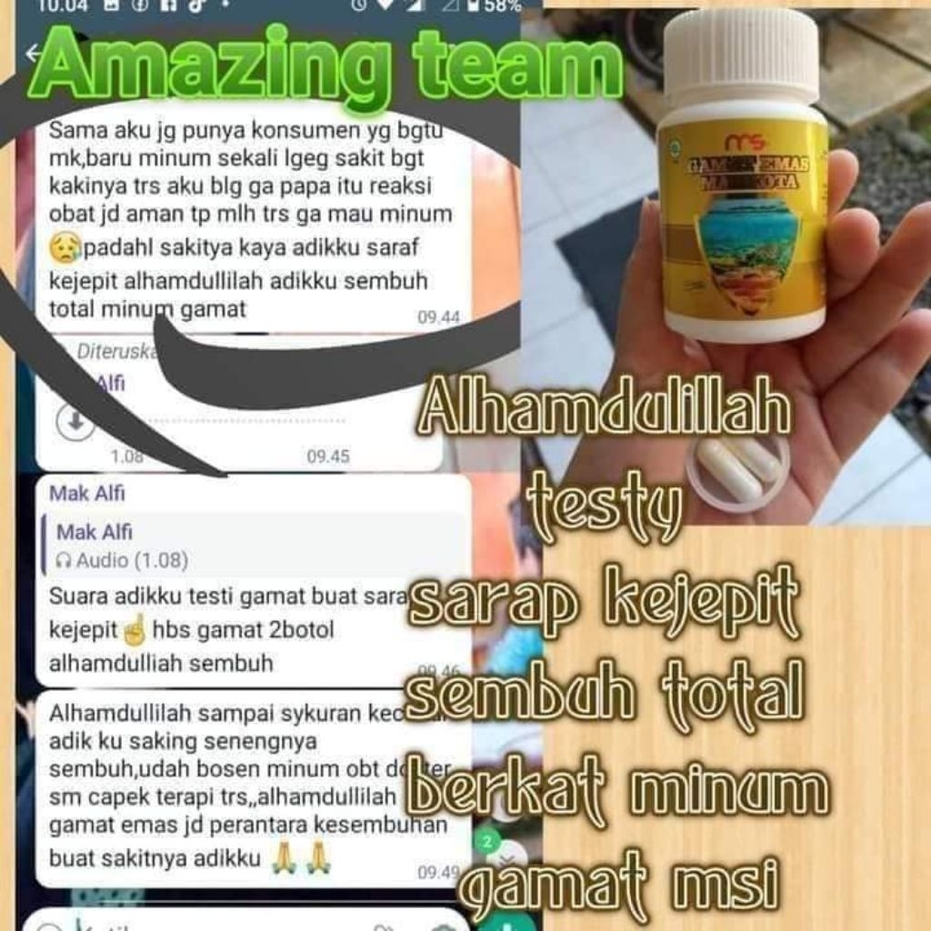 GAMAT TERIPANG EMAS MSI 1BOTOL ( 50 KAPSUL)