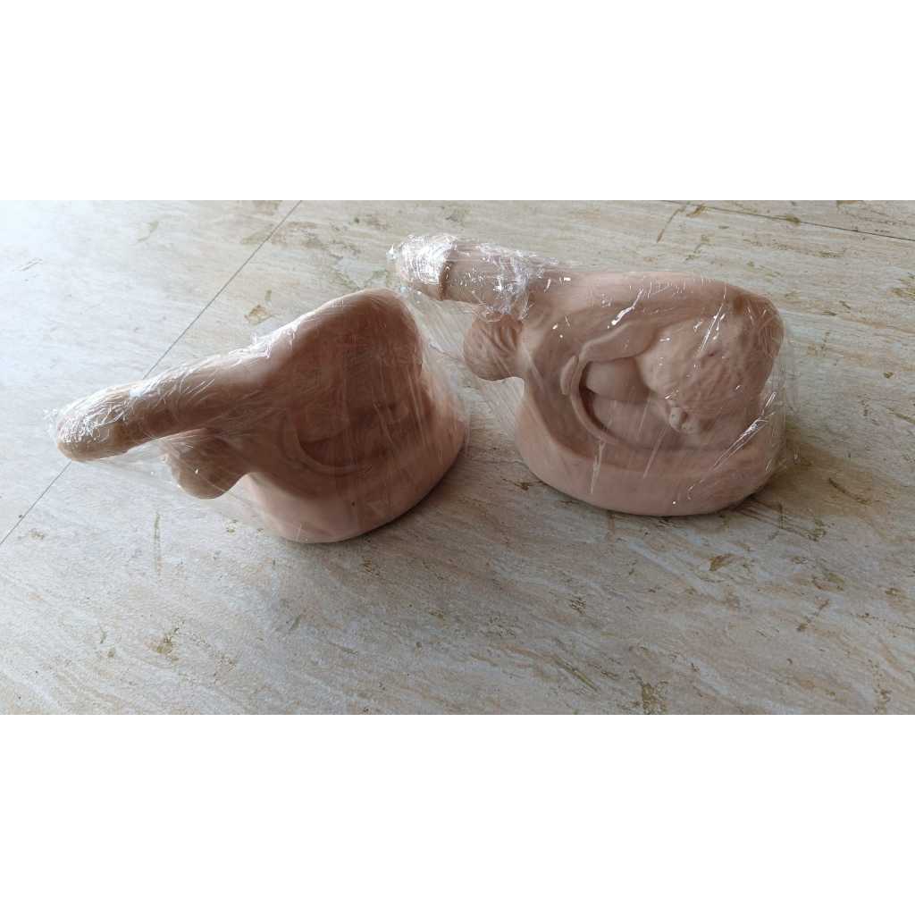 Manikin model kateter pria / |Catheter/ Phantom manekin pemasangan kateter