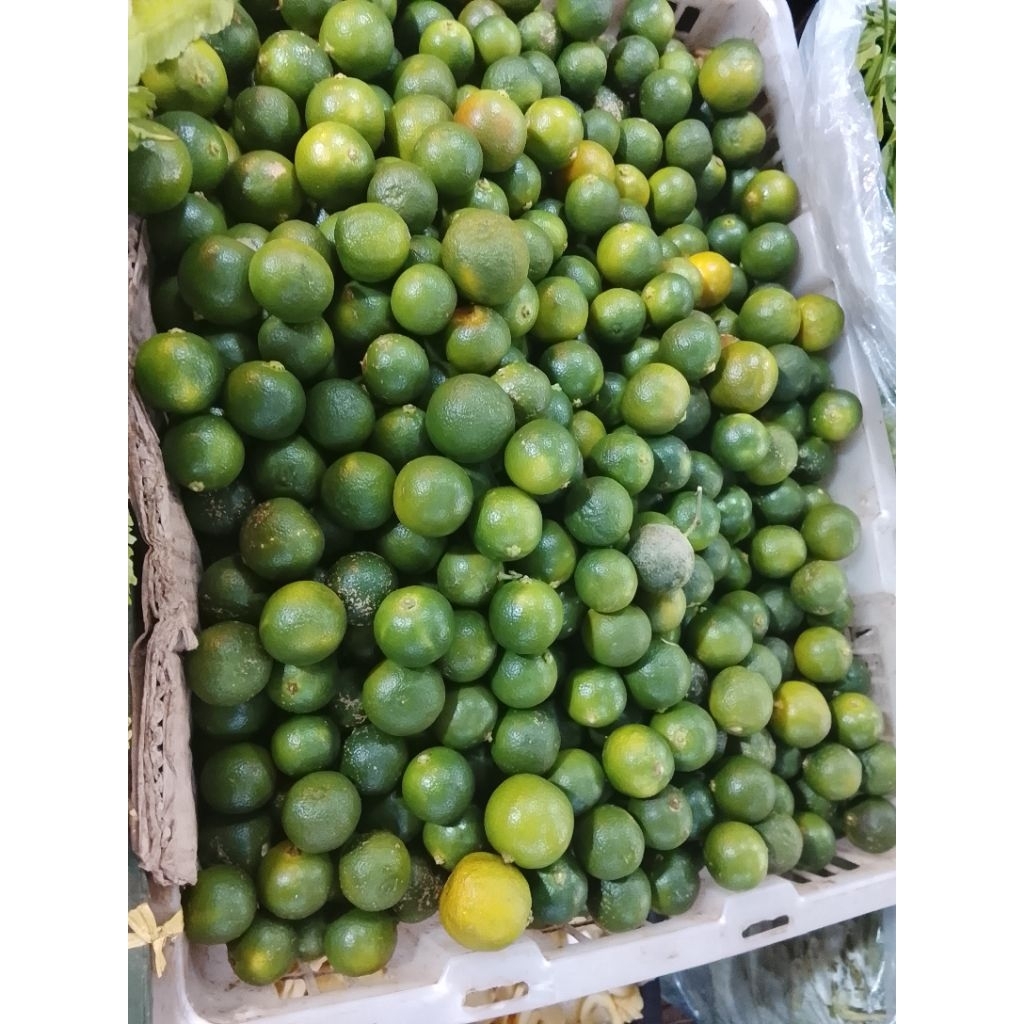 jeruk lemon cui/jeruk cui per 500grm