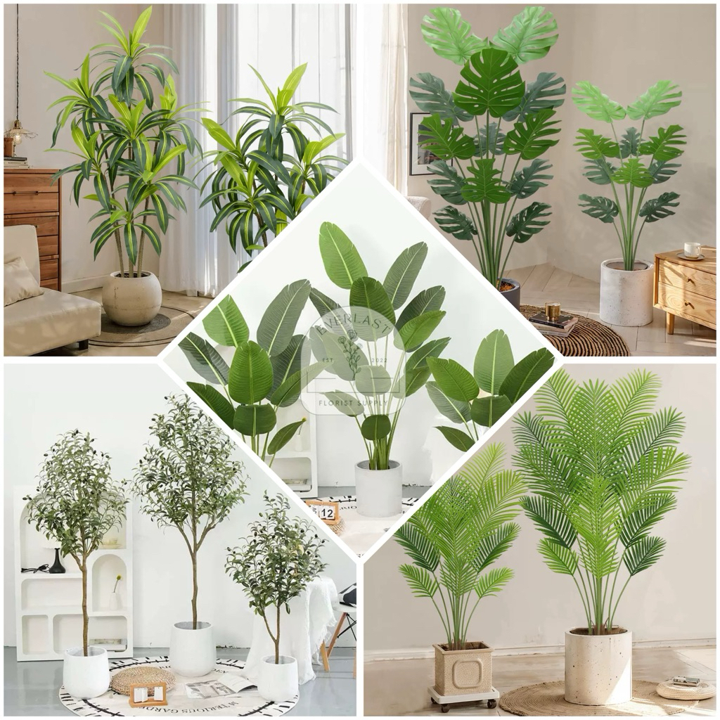 [11002-006] Pohon Olive Zaitun Artificial | Pohon Dracaena Baxi Artificial | Pohon Monstera, Janda B