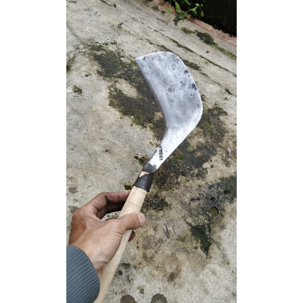 arit parang pembersih rumput