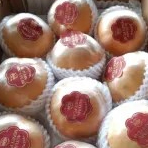 sweet pear autum Korea pear singo