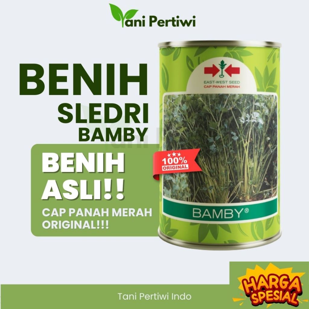 Benih Seledri Bamby 50gr Cap Panah Merah Original - Daun Tebal