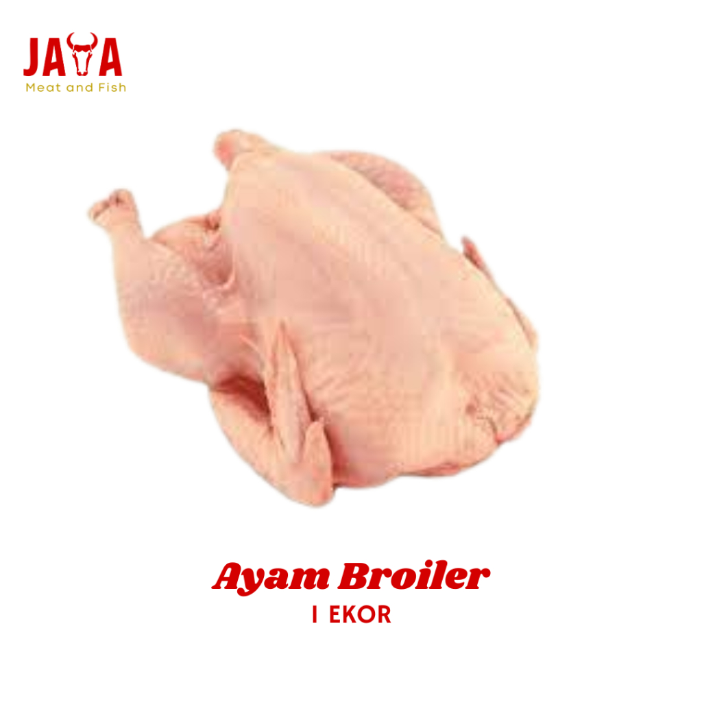AYAM BROILER UTUH 1 EKOR | AYAM BROILER 1 EKOR