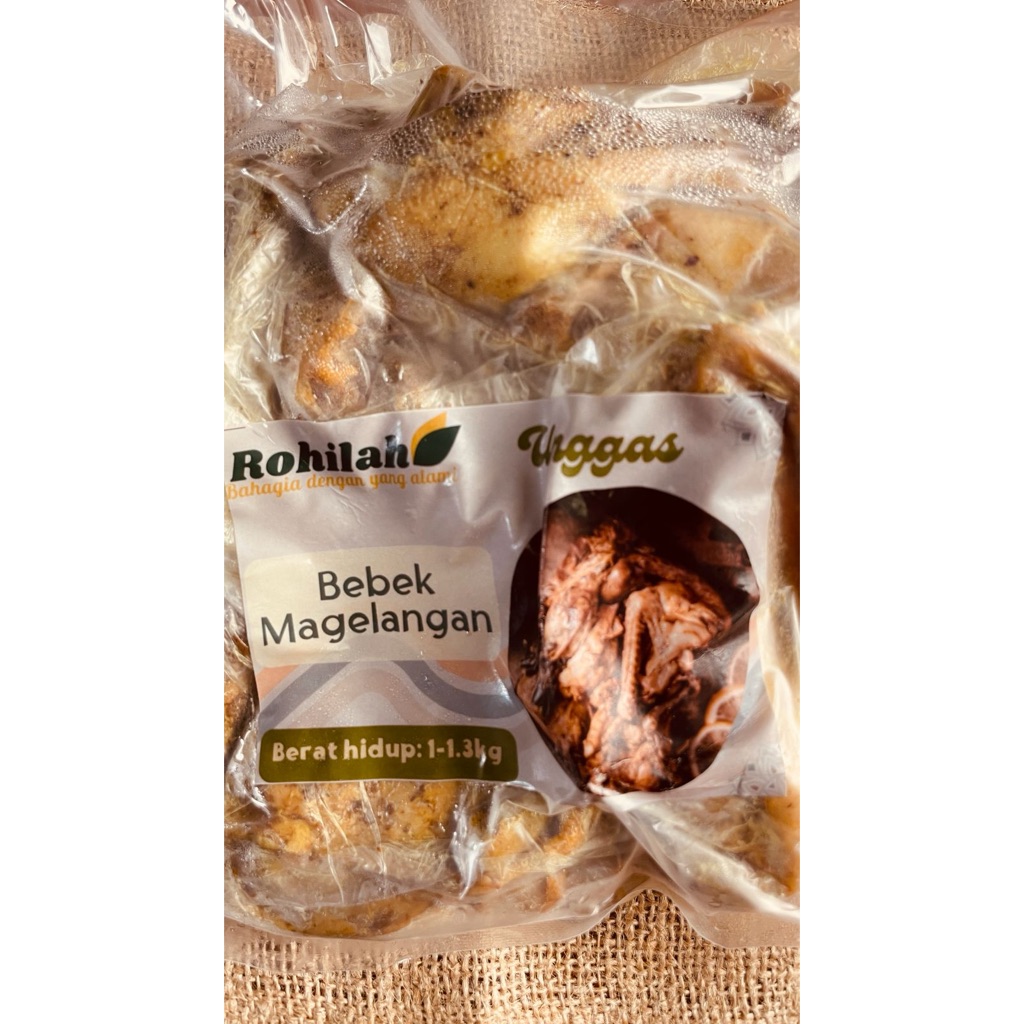 Bebek Ungkep Enak siap goreng Utuh 1 ekor