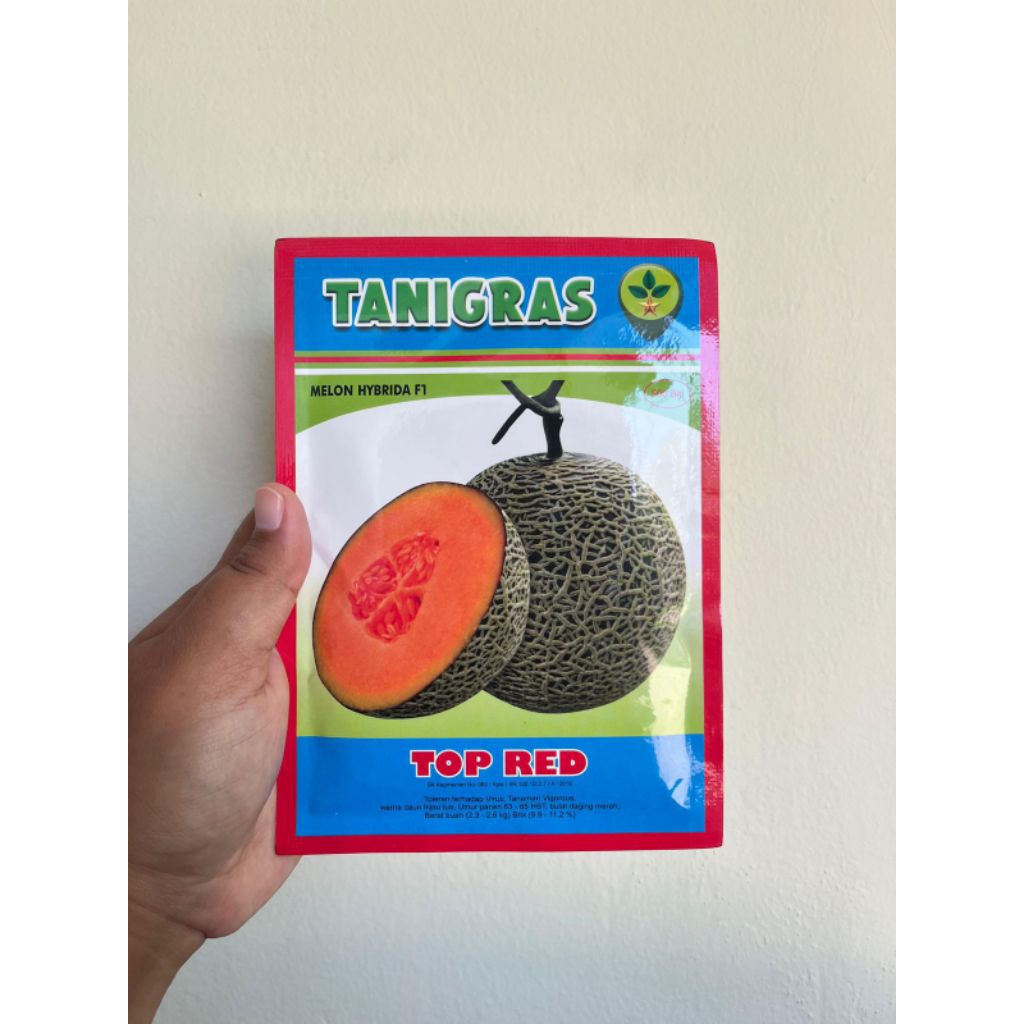 Benih Melon TOP RED daging Oren Tanigras