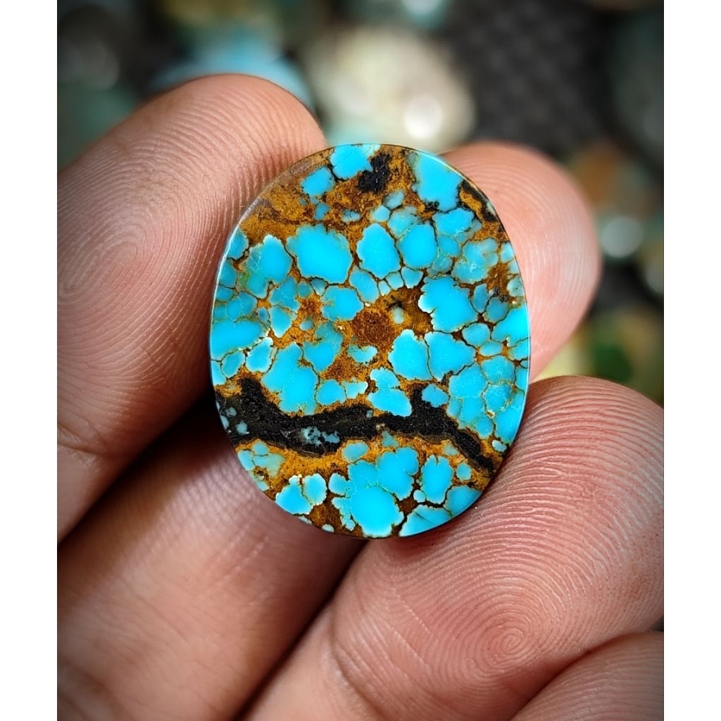 PIRUS PERSIA BIRU URAT JALAK