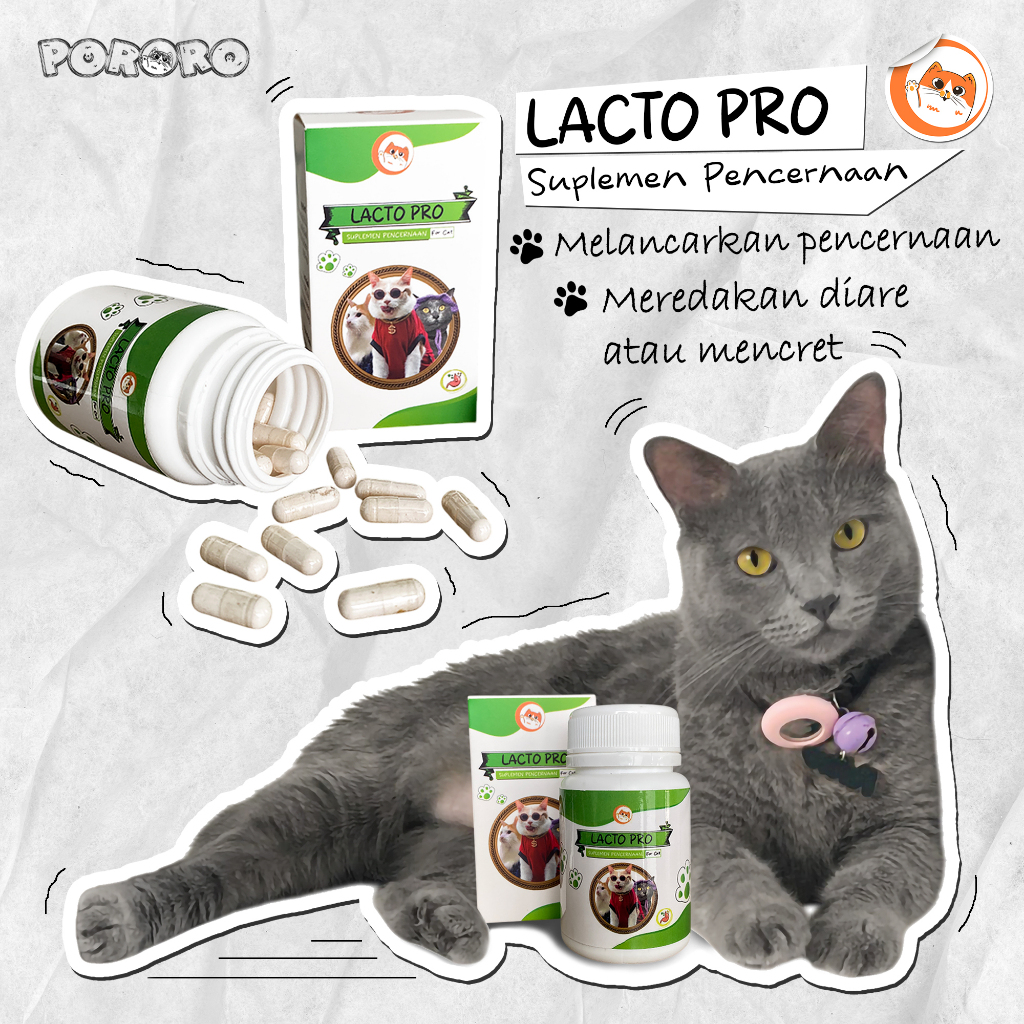 PORORO LACTO PRO Vitamin Suplemen Pencernaan Kucing