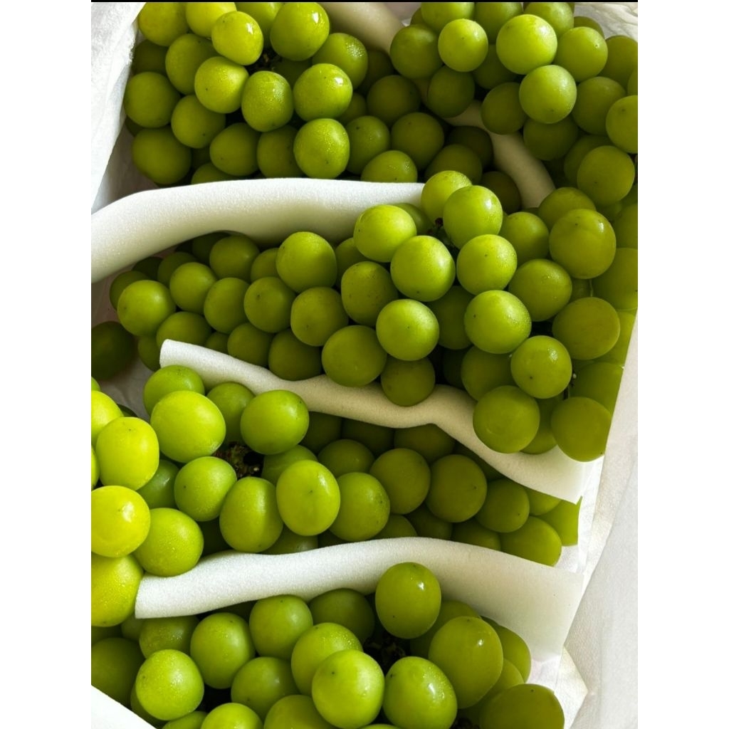 Anggur Shine Muscat Curah 4kg