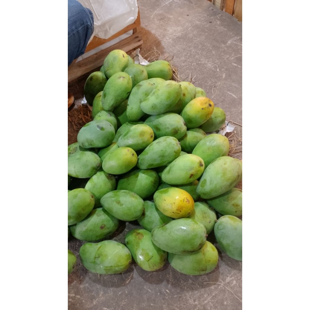 Mangga Harum Manis 1 kg