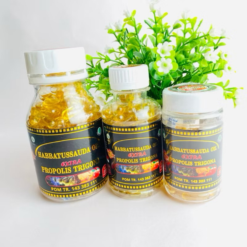 HABBATUSSAUDA PROPOLIS TRIGONA