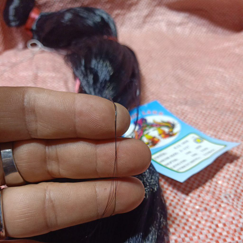 012 Jaring burung hitam 2½" tinggi 6 meter 100 /100 jaring saja, buat burung sebesar tekukur