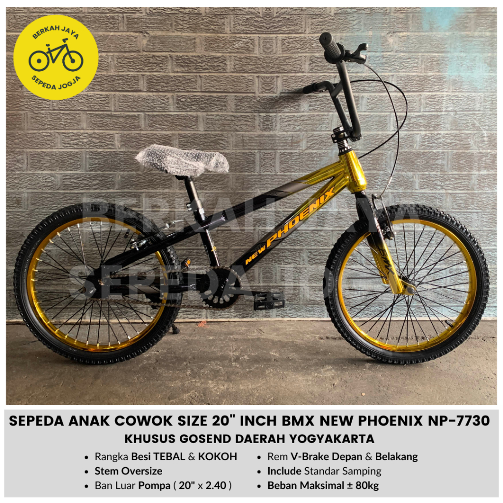 Sepeda Anak BMX 20" inch New Phoenix NP 7730 Ban 2.40 Oversize NEW HUB Bearing Laker