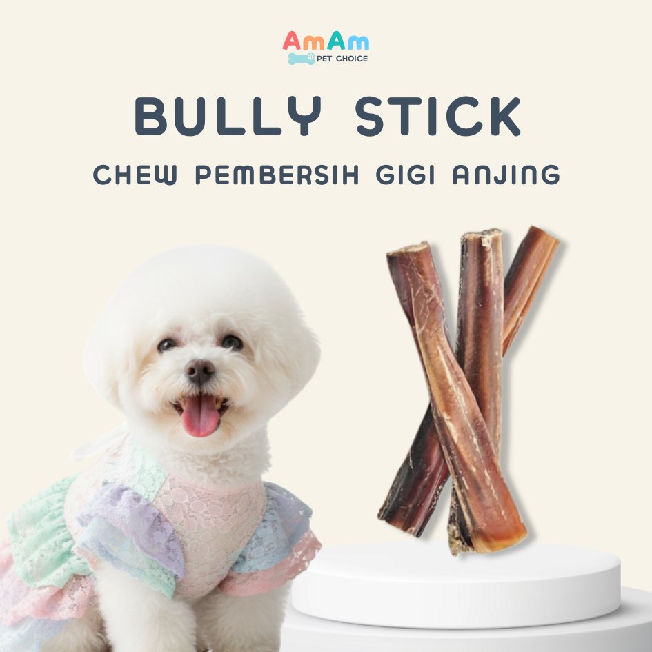 Bully Stick Chew Cemilan Snack Anjing Urat Sapi Alami Sehat Dog Treat AmAm Pet Choice