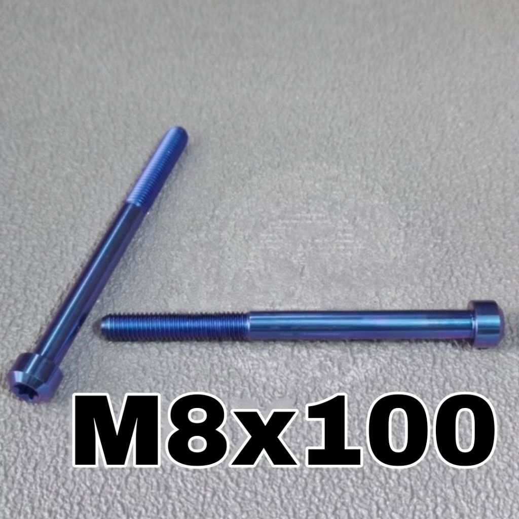 baut small head  titan 8x100 drat 12 panjang 10 cm