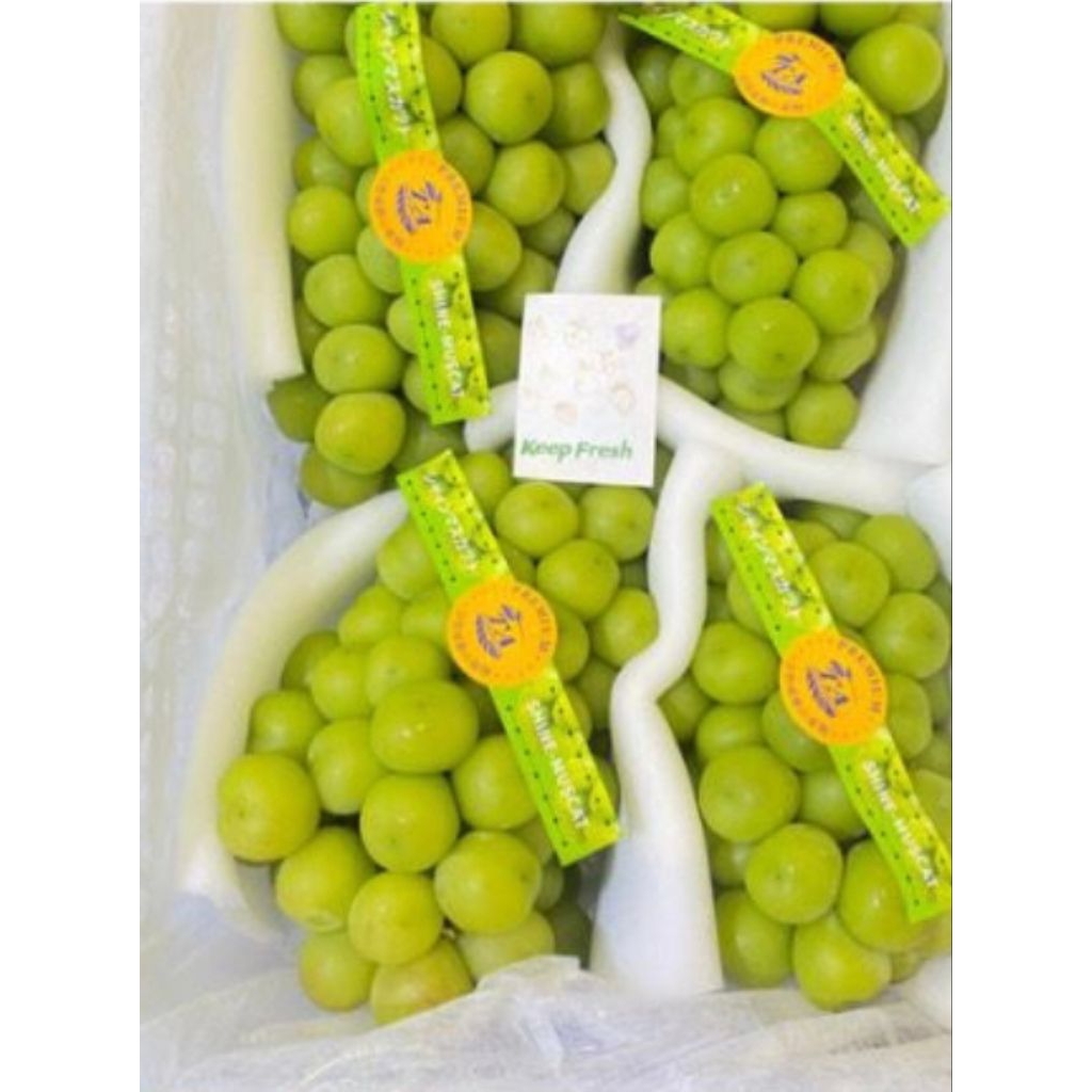 buah anggur hijau muschat 1 keranjang berat -+6kg Fress Samarinda