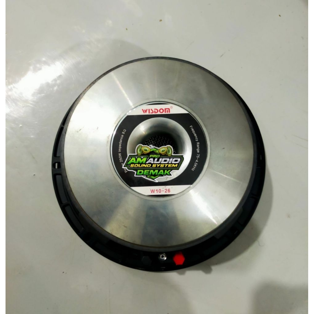 Speaker 10inch Wisdom w10-26