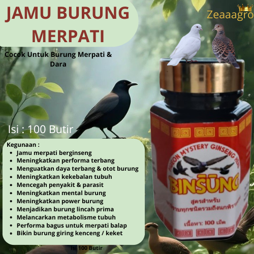 BINSUNG Jamu Vitamin dan Suplemen Burung Merpati Dara Dengan Extra Ginseng Teki Meningkatkan Perform