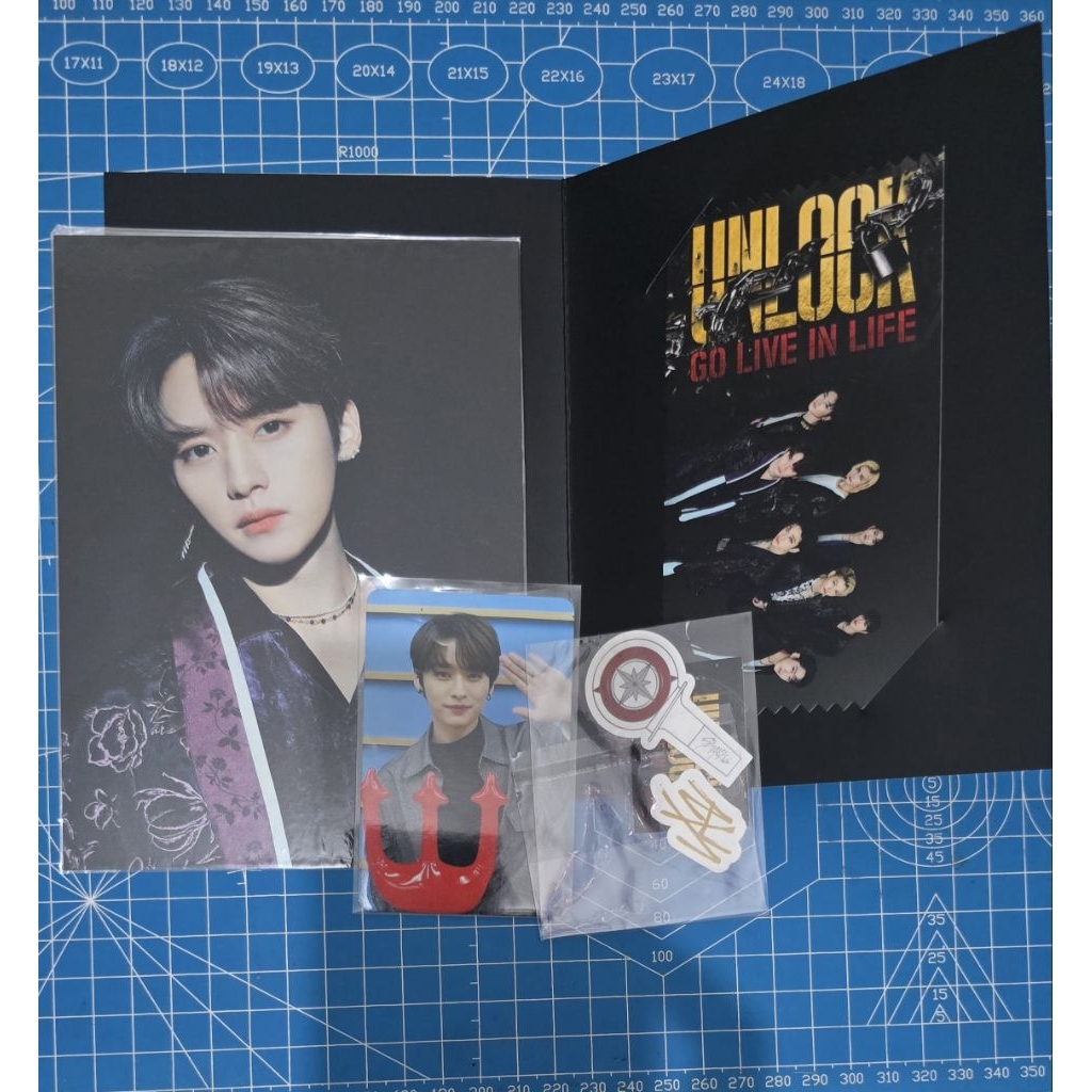 READY STOCK STRAY KIDS PHOTOCARD (AR TICKRT UNLOCK GO LIVE IN LIVE LEE KNOW)