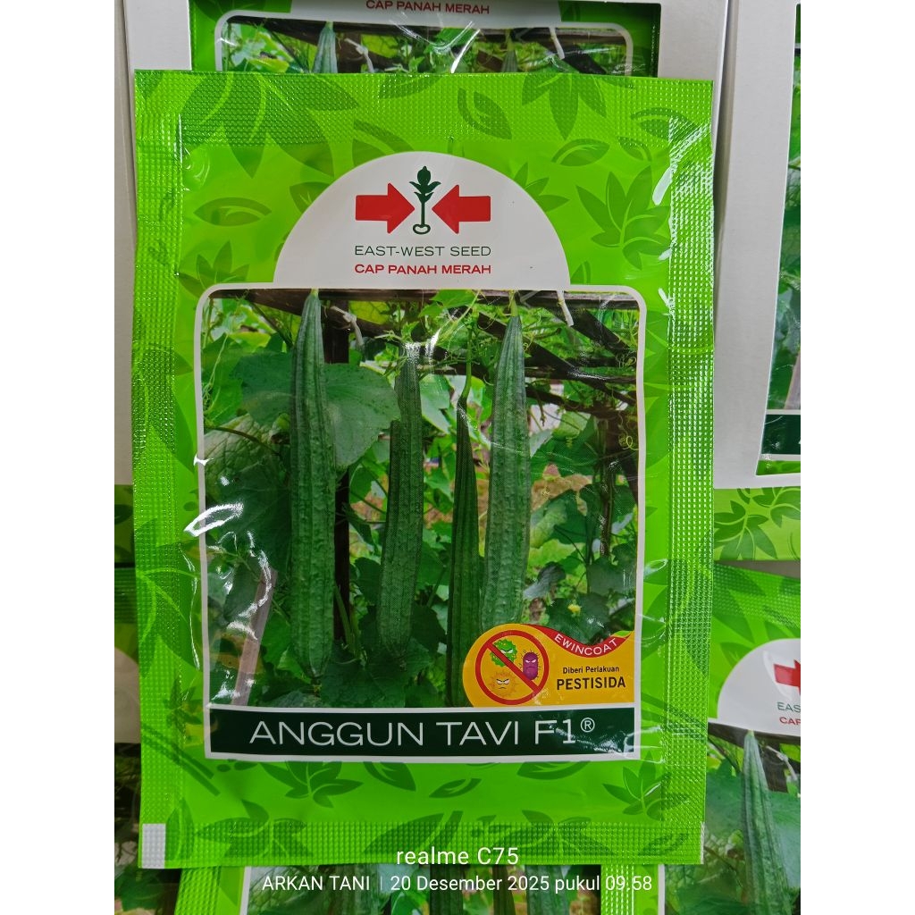 BENIH GAMBAS / OYONG ANGGUN TAVI 75 BUTIR - CAP PANAH MERAH