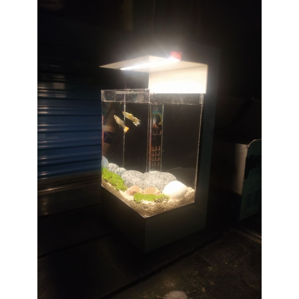 aquarium mini Kabinet