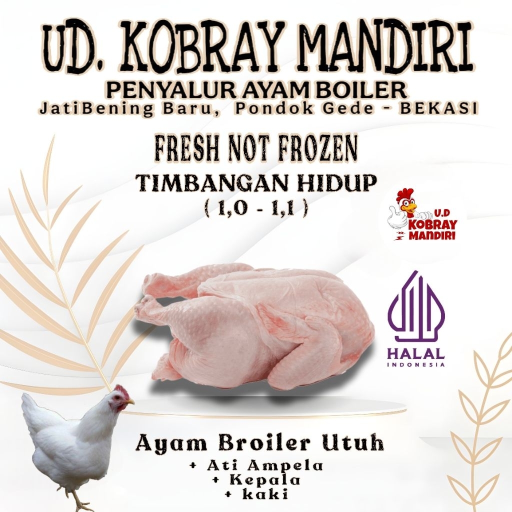 [TERMURAH] Ayam Potong Broiler 1,0 - 1,1Kg